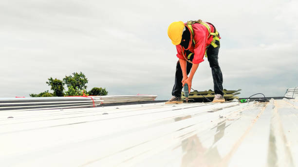 Skylights in Wasilla, AK